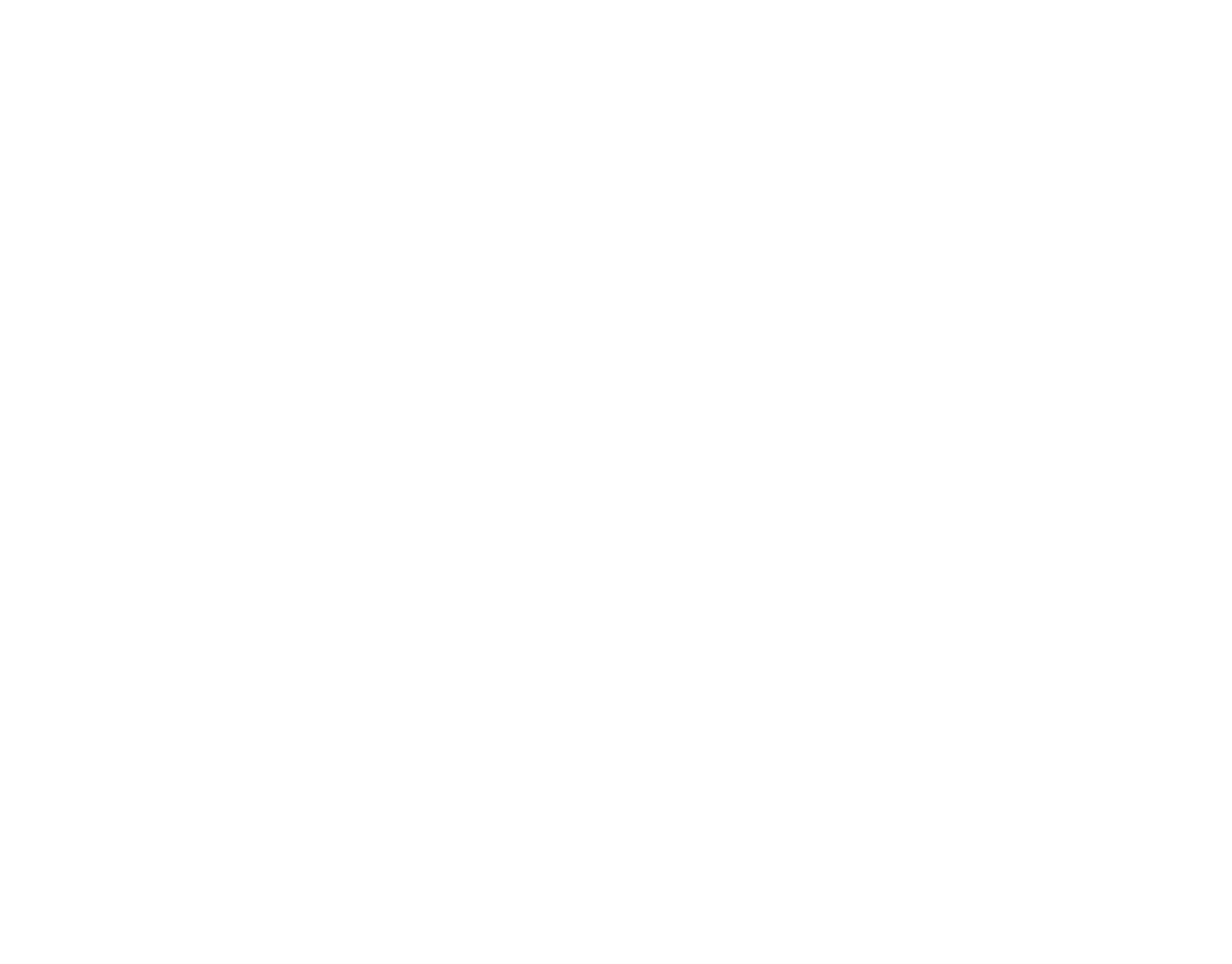 The Flying Sage logo